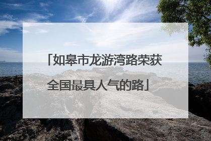 如皋市龙游湾路荣获全国最具人气的路