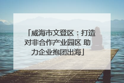 威海市文登区：打造对非合作产业园区 助力企业抱团出海