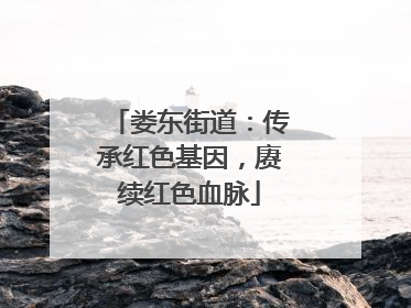 娄东街道：传承红色基因，赓续红色血脉