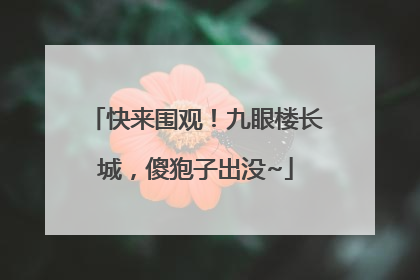 快来围观！九眼楼长城，傻狍子出没~