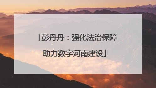 彭丹丹：强化法治保障 助力数字河南建设