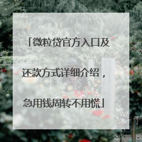 微粒贷官方入口及还款方式详细介绍，急用钱周转不用慌