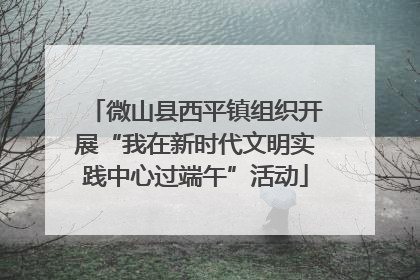 微山县西平镇组织开展“我在新时代文明实践中心过端午”活动