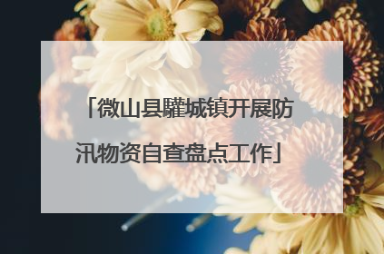 微山县驩城镇开展防汛物资自查盘点工作