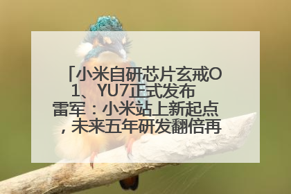 小米自研芯片玄戒O1、YU7正式发布 雷军：小米站上新起点，未来五年研发翻倍再投2000亿元