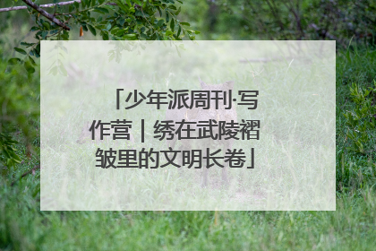 少年派周刊·写作营｜绣在武陵褶皱里的文明长卷