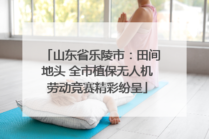 山东省乐陵市：田间地头 全市植保无人机劳动竞赛精彩纷呈