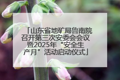 山东省地矿局鲁南院召开第三次安委会会议暨2025年“安全生产月”活动启动仪式