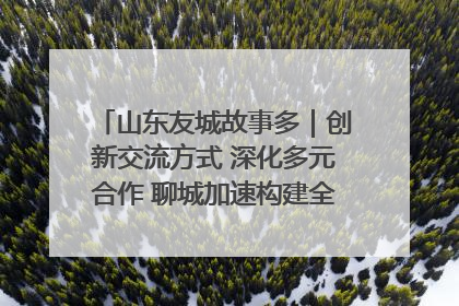 山东友城故事多｜创新交流方式 深化多元合作 聊城加速构建全球友城新格局