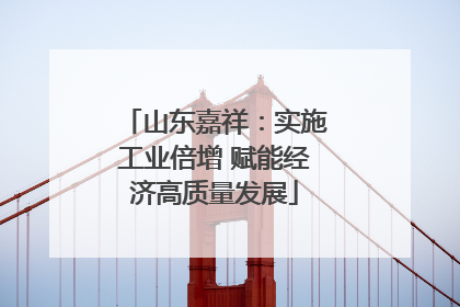 山东嘉祥：实施工业倍增 赋能经济高质量发展