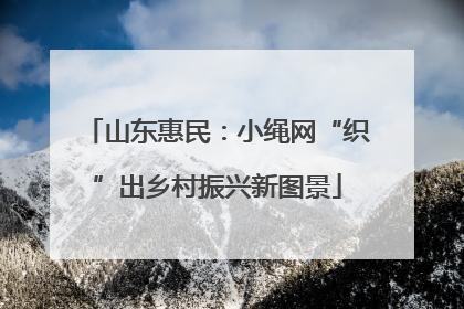 山东惠民：小绳网“织”出乡村振兴新图景