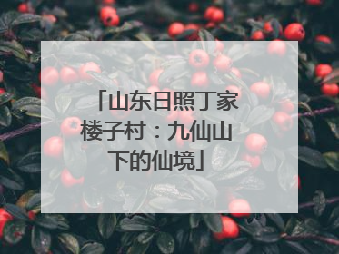 山东日照丁家楼子村：九仙山下的仙境
