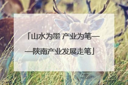 山水为墨 产业为笔——陕南产业发展走笔