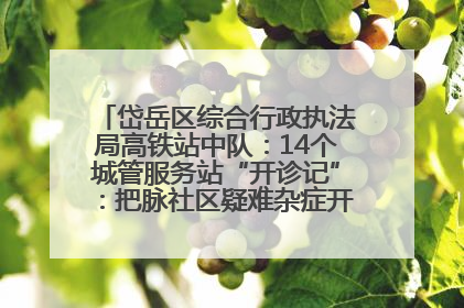 岱岳区综合行政执法局高铁站中队：14个城管服务站“开诊记”：把脉社区疑难杂症开出治理良方