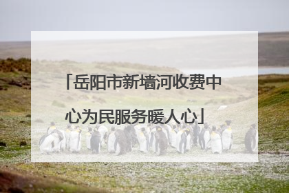 岳阳市新墙河收费中心为民服务暖人心