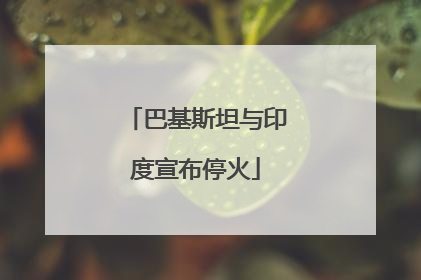巴基斯坦与印度宣布停火