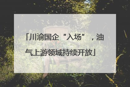 川渝国企“入场”，油气上游领域持续开放