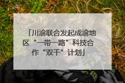 川渝联合发起成渝地区“一带一路”科技合作“双千”计划