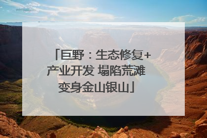 巨野：生态修复+产业开发 塌陷荒滩变身金山银山