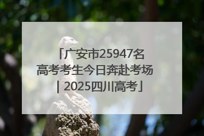 广安市25947名高考考生今日奔赴考场｜2025四川高考