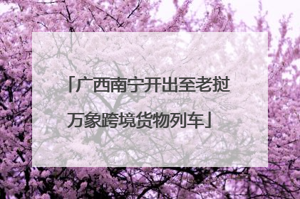 广西南宁开出至老挝万象跨境货物列车
