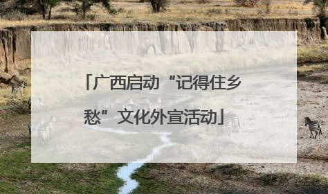 广西启动“记得住乡愁”文化外宣活动