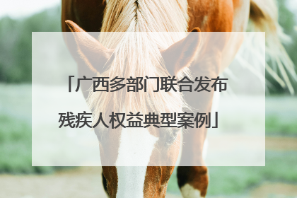 广西多部门联合发布残疾人权益典型案例