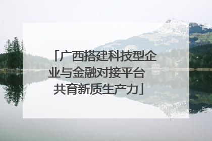 广西搭建科技型企业与金融对接平台 共育新质生产力