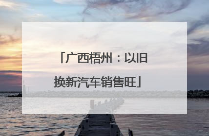 广西梧州：以旧换新汽车销售旺