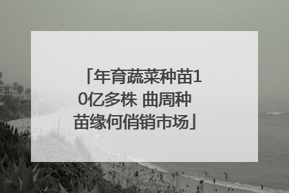 年育蔬菜种苗10亿多株 曲周种苗缘何俏销市场