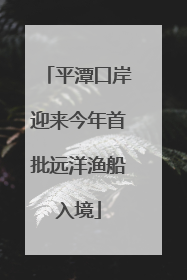 平潭口岸迎来今年首批远洋渔船入境