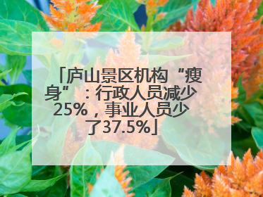 庐山景区机构“瘦身”：行政人员减少25%，事业人员少了37.5%