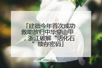 建德今年首次成功救助放归中华穿山甲，浙江破解“活化石”续存密码