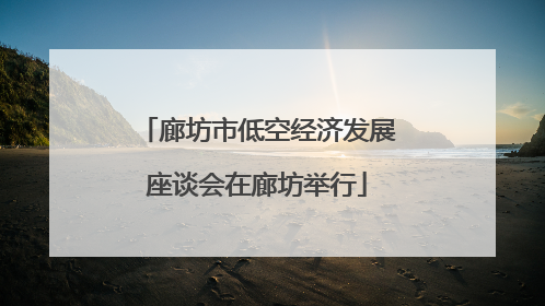 廊坊市低空经济发展座谈会在廊坊举行