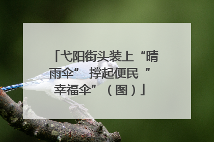 弋阳街头装上“晴雨伞” 撑起便民“幸福伞”（图）