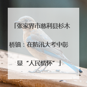 张家界市慈利县杉木桥镇：在防汛大考中彰显“人民情怀”