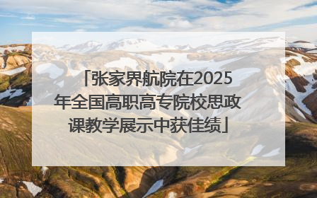 张家界航院在2025年全国高职高专院校思政课教学展示中获佳绩