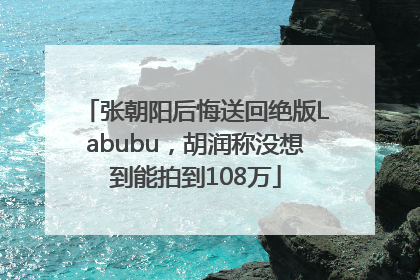 张朝阳后悔送回绝版Labubu，胡润称没想到能拍到108万