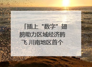 插上“数字”翅膀助力区域经济腾飞 川南地区首个智算中心启动