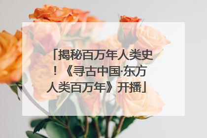 揭秘百万年人类史！《寻古中国·东方人类百万年》开播