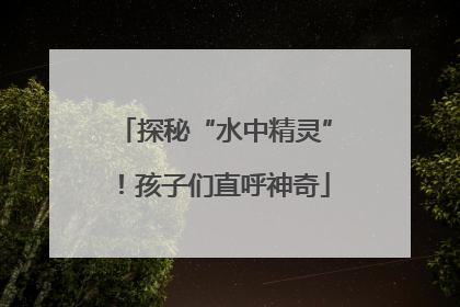 探秘“水中精灵”！孩子们直呼神奇