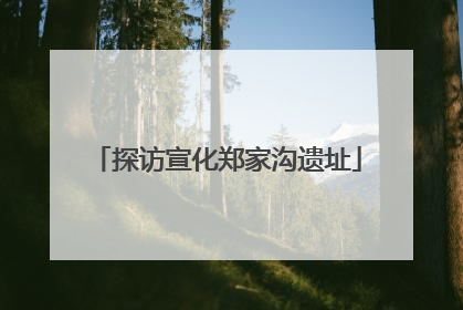 探访宣化郑家沟遗址