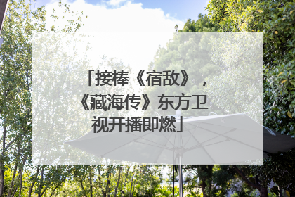 接棒《宿敌》，《藏海传》东方卫视开播即燃
