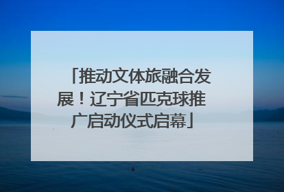 推动文体旅融合发展！辽宁省匹克球推广启动仪式启幕