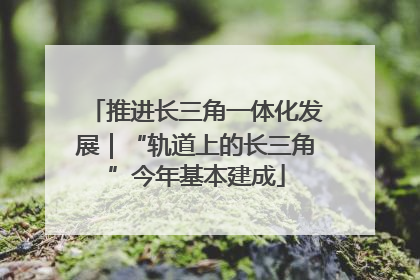 推进长三角一体化发展｜“轨道上的长三角”今年基本建成
