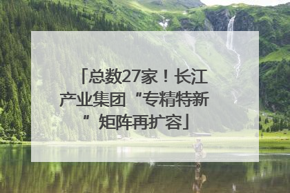 总数27家！长江产业集团“专精特新”矩阵再扩容