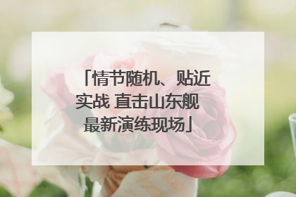 情节随机、贴近实战 直击山东舰最新演练现场