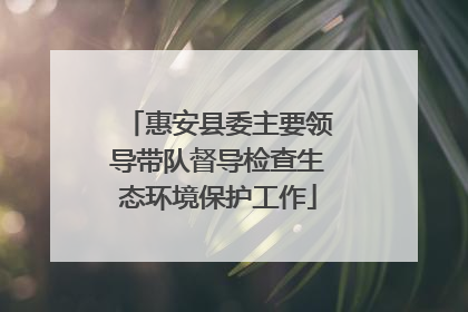惠安县委主要领导带队督导检查生态环境保护工作