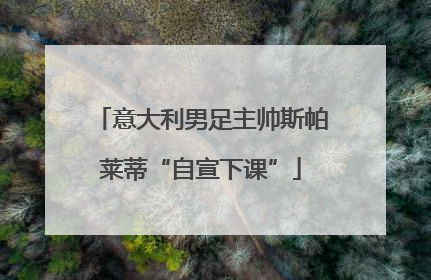 意大利男足主帅斯帕莱蒂“自宣下课”