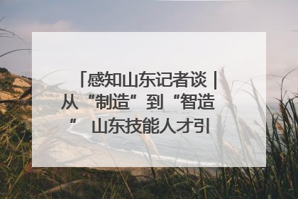 感知山东记者谈｜从“制造”到“智造” 山东技能人才引领产业升级